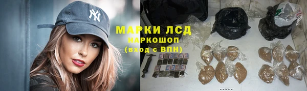 гашик Алексин