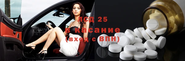 гашик Алексин