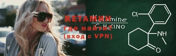 гашик Алексин