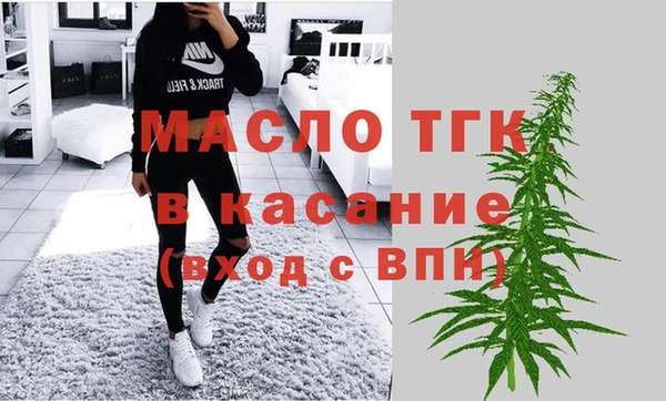 гашик Алексин