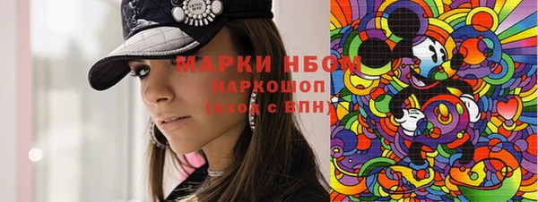 гашик Алексин