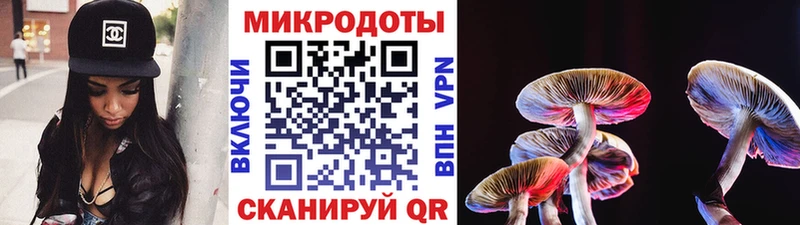 наркота  Люберцы  Галлюциногенные грибы GOLDEN TEACHER 
