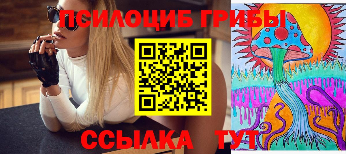 продажа наркотиков  Галлюциногенные грибы прущие грибы  Вход с VPN  Псилоцибиновые грибы мухоморы  Люберцы 